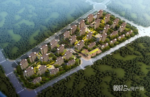 安徽龙汇善水居小区