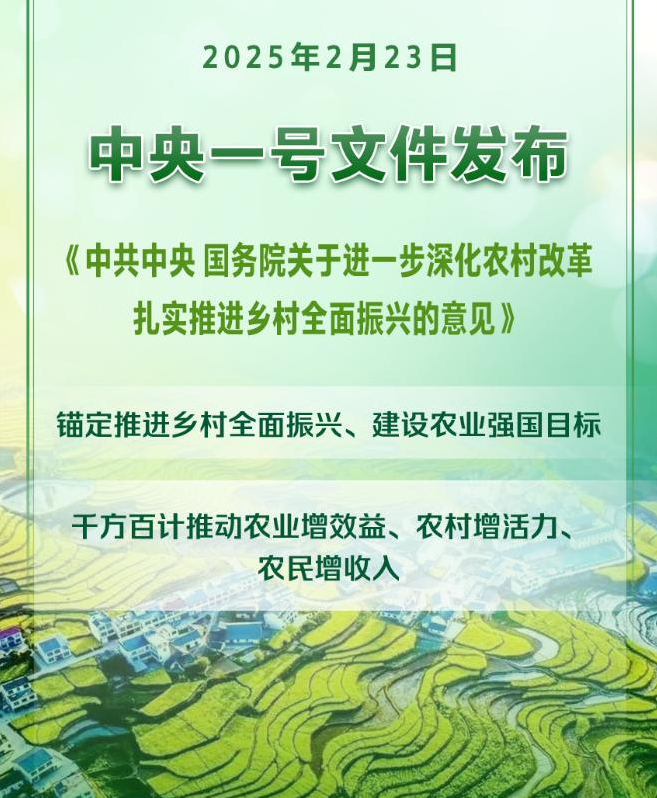 全文丨2025年中央一号文件