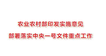 农业农村部印发实施意见 部署落实中央一号文件重点工作