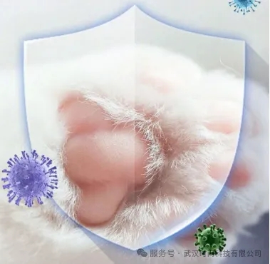 8e63286ceae4e37ee7fea06c4364e47b_640_wx_fmt=png&from=appmsg&tp=webp&wxfrom=10005&wx_lazy=1&wx_co=1