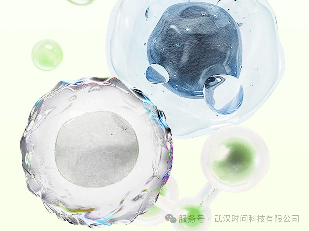 Timechemy Y12D | 杀菌剂Y12D 强效杀菌性能，多元应用场景