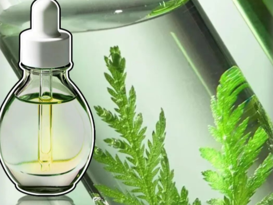 从诺奖科研到护肤黄金｜Puretime Artemisinin 青蒿系列双品齐发