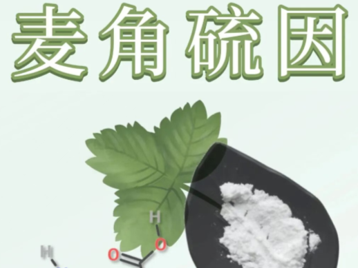 麦角硫因｜细胞级守护开启抗老新时代