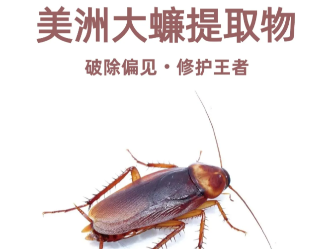 美洲大蠊提取物｜黏膜修护+屏障维稳，传统智慧的现代答案