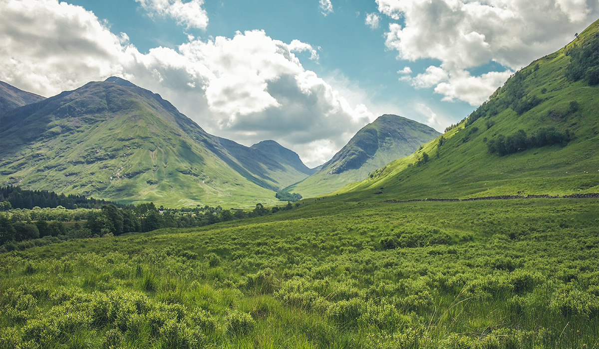 XXXXX项目展示区景观工程5