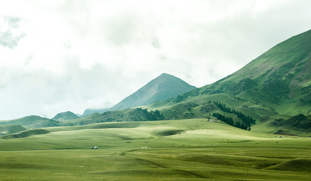 XXXXX项目展示区景观工程1