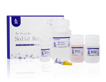 LDH Cytotoxicity Assay Kit
本试剂盒可检测细胞培养液、细胞裂解液等样品中LDH的活性,一个试剂盒可进行1000个样品检测。