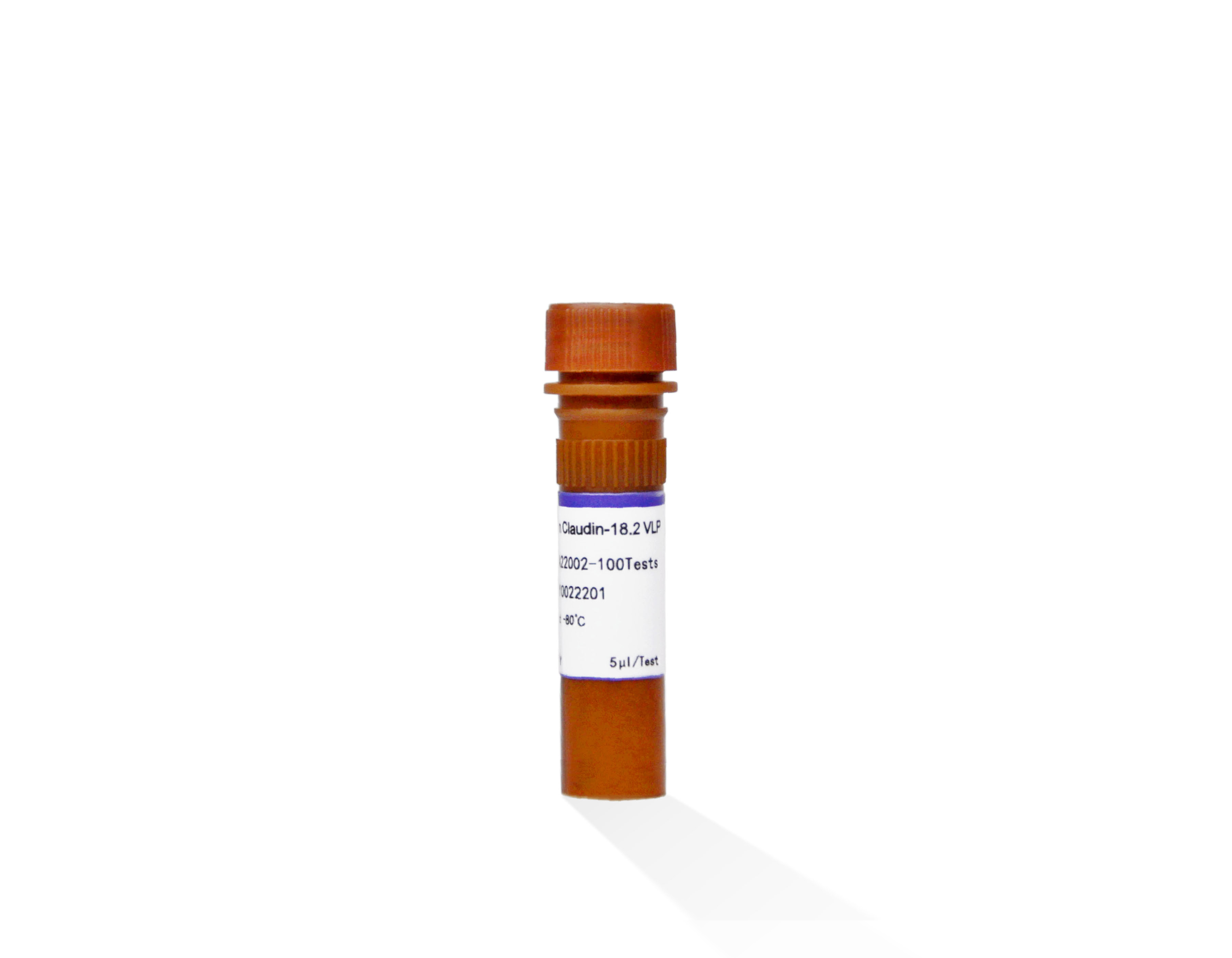 Fluorescent Human Claudin-18.2 VLP
