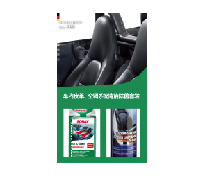 车内皮革空调系统清洁除菌套装