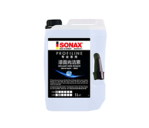 专业系列 漆面光洁素