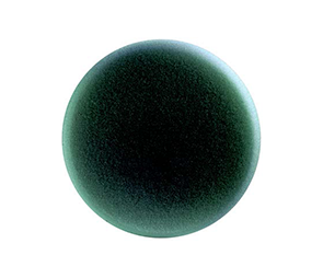 黑色海绵抛光盘 直径：160mm