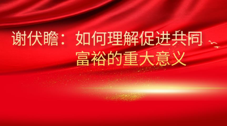 谢伏瞻:如何理解促进共同富裕的重大意义