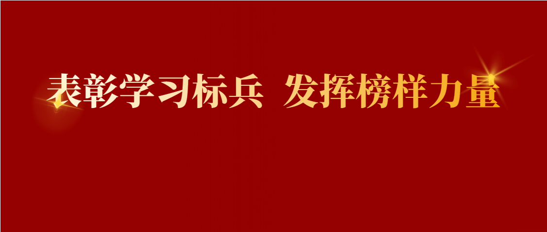 表彰学习标兵，发挥榜样力量