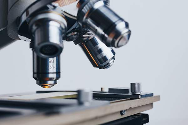 xxxc产品资料下载