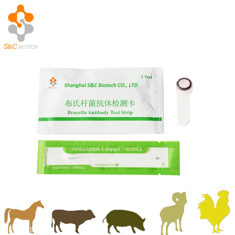B.Brucella Ab