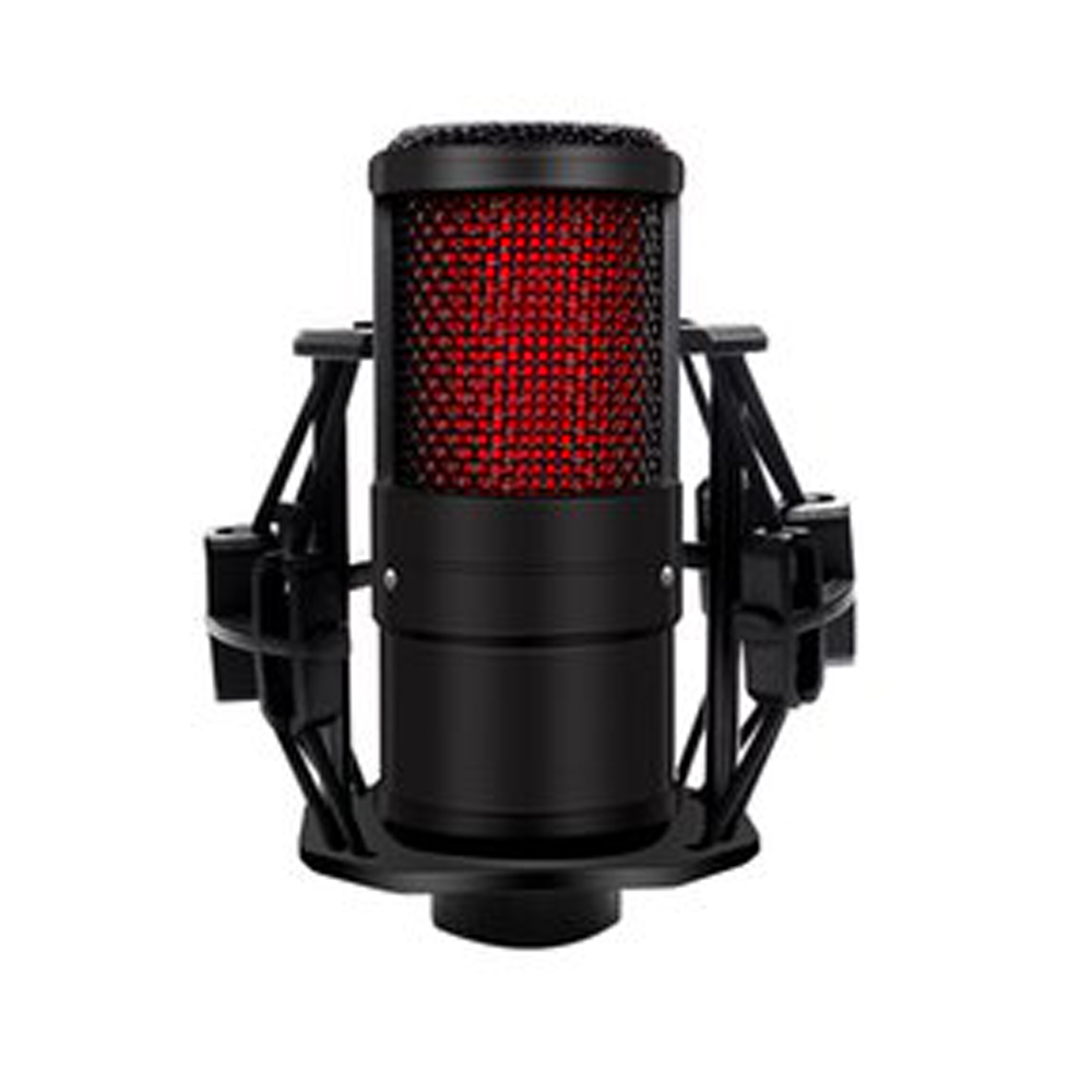 A10 Studio Vocal Wired Microphone Condenser For PC Cardioid Omnidirectional Side-address Stereo Mic With Plastic Shock Mount
