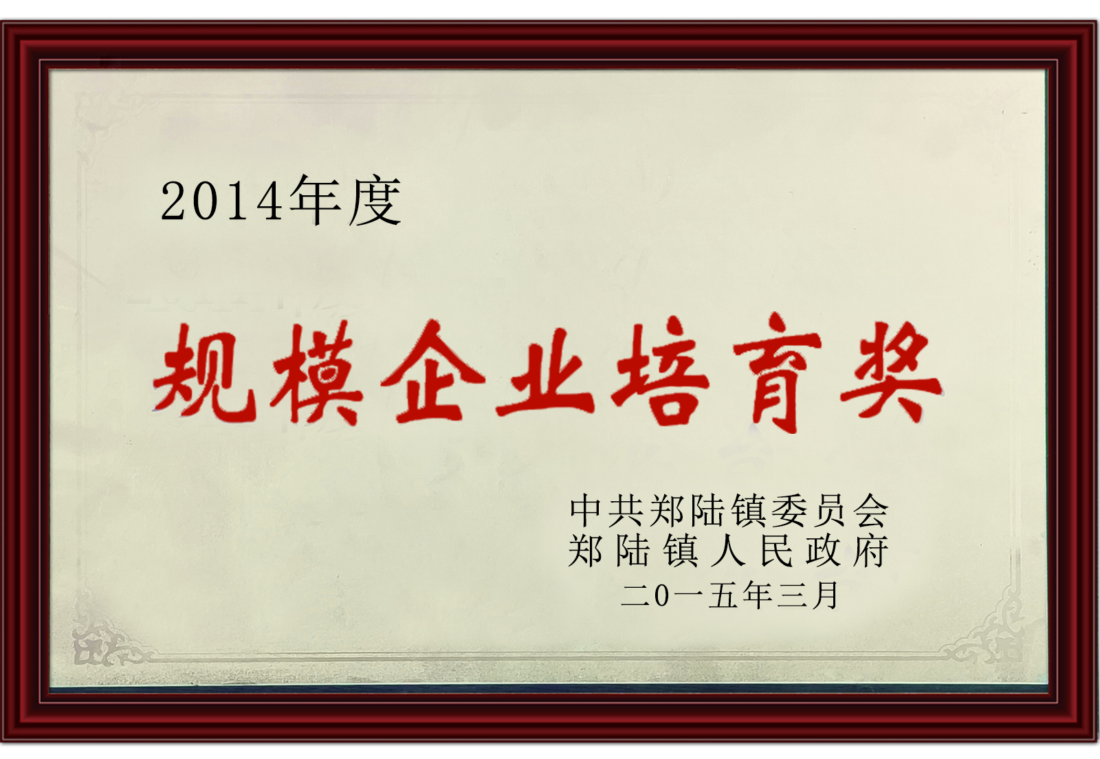 规模企业培育奖