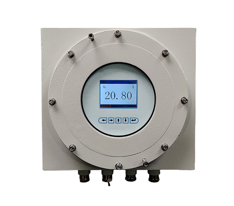防爆型氧气分析仪