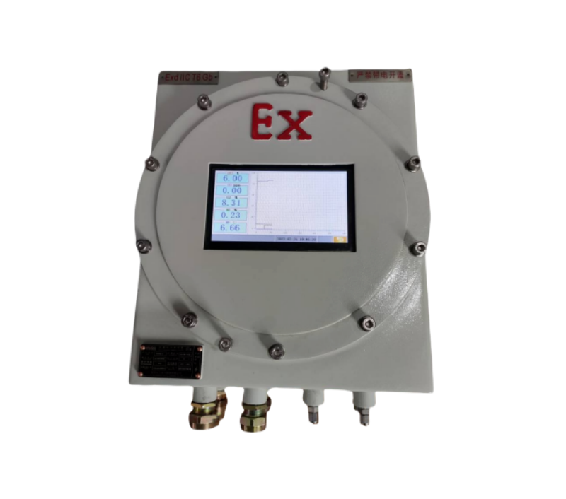 防爆型煤气沼气热值分析仪