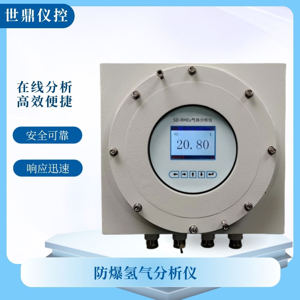 防爆氢气分析仪