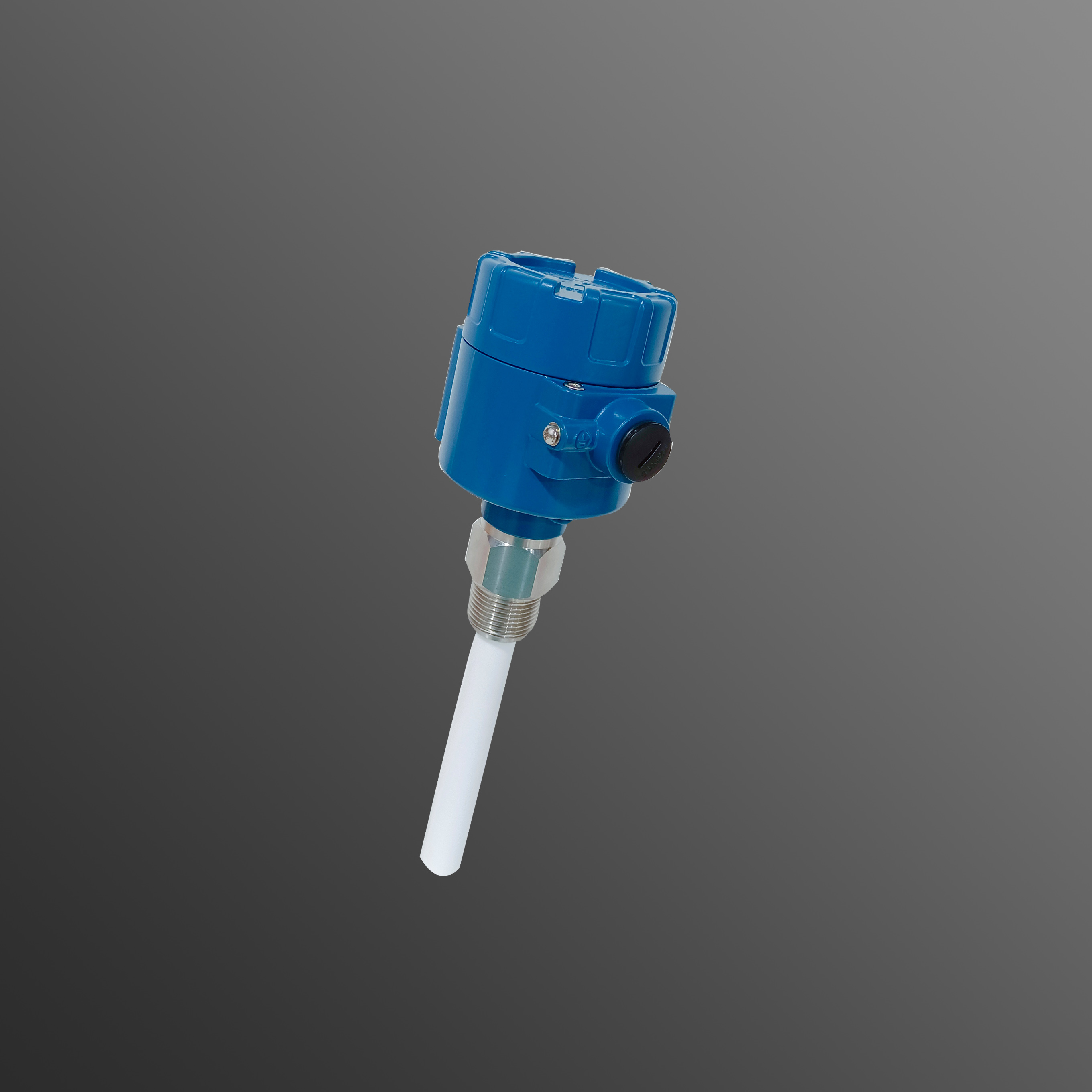 LS-DCA电容式物位开关标准型