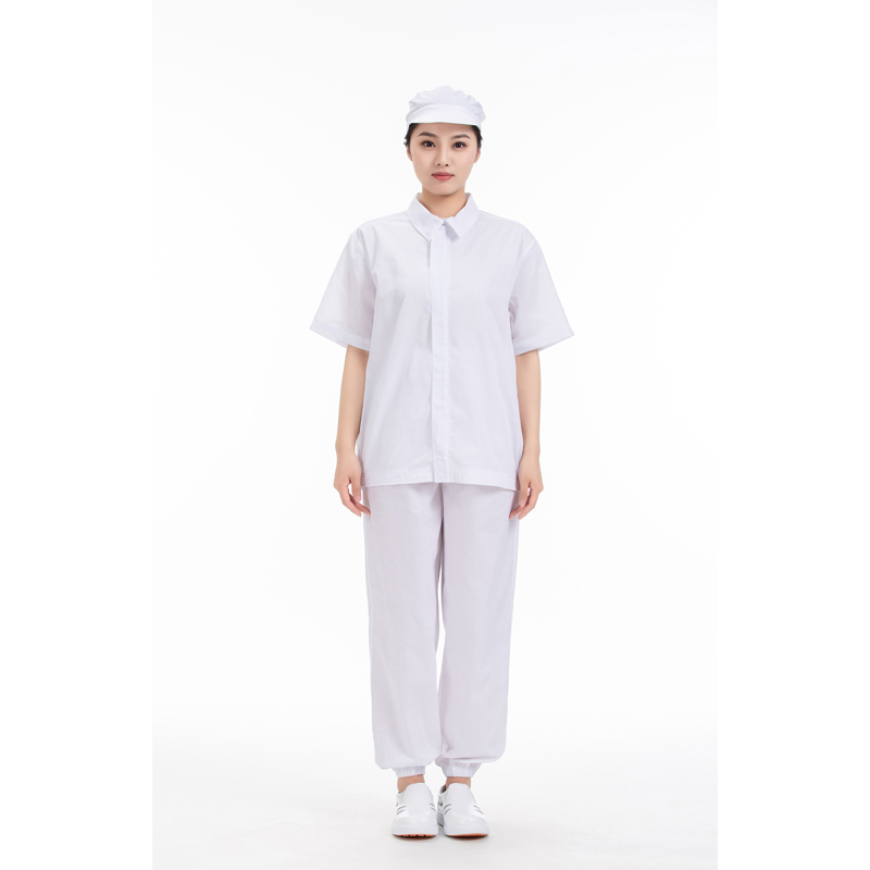 食品翻領分體服