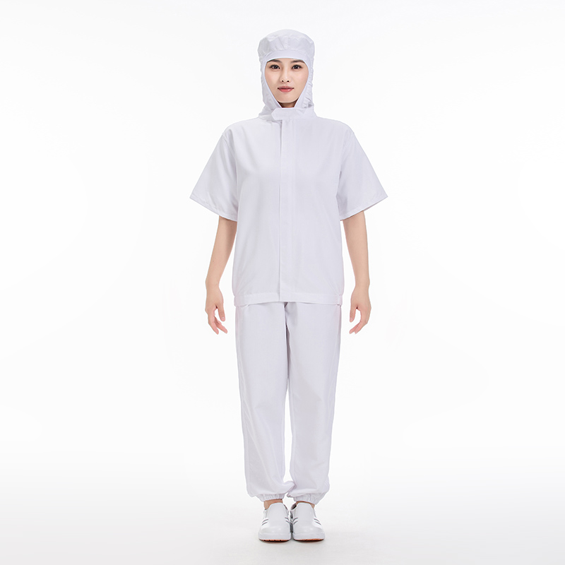 食品正開拉鏈上二連 耳洞耳掛款