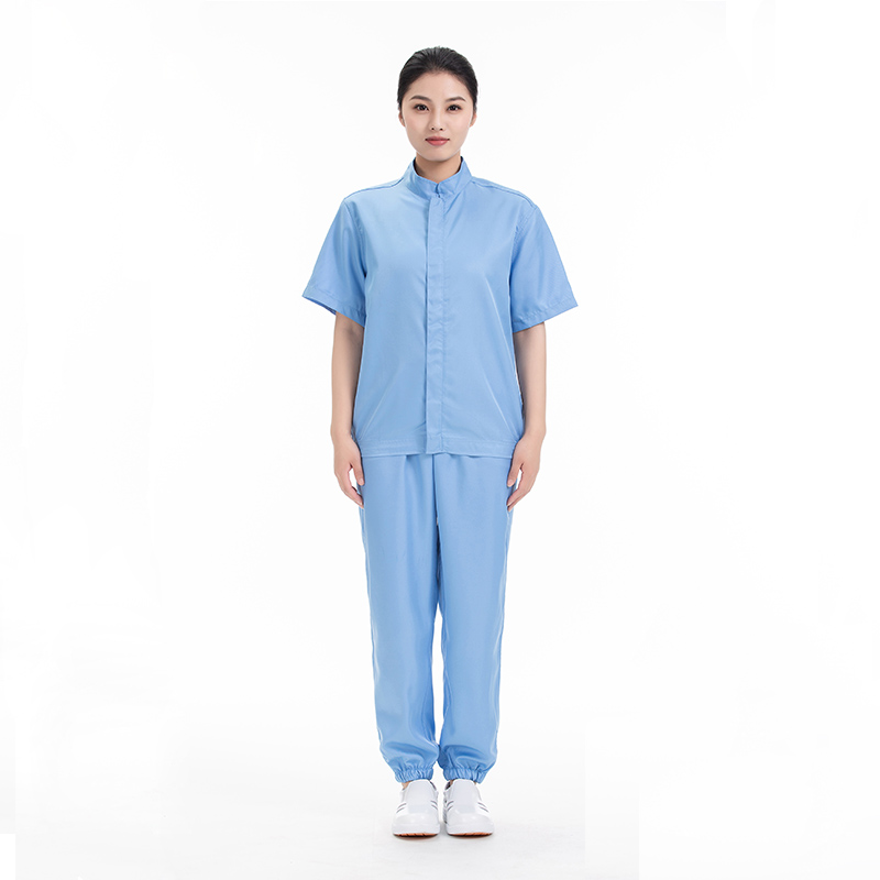 食品中領分體服