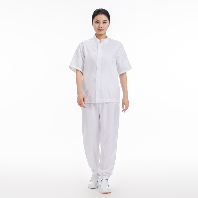 食品中領分體服