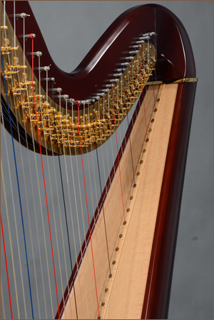 凯瑟琳(Catherine47EH)