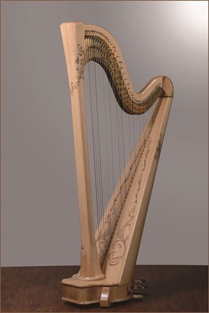 凯瑟琳(Catherine47E)