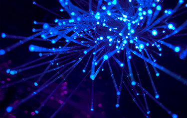 我国数字经济发展进入数据驱动新阶段