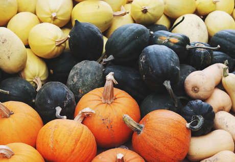 国家橡胶质检中心在西双版纳建成