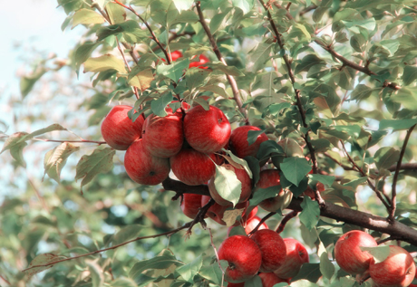 第八届国际橡胶展12月在沪举办