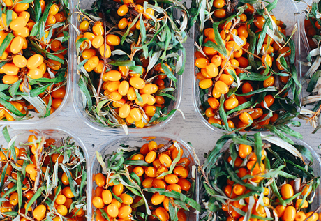 力学性能优异的耐热性聚氨酯弹性体