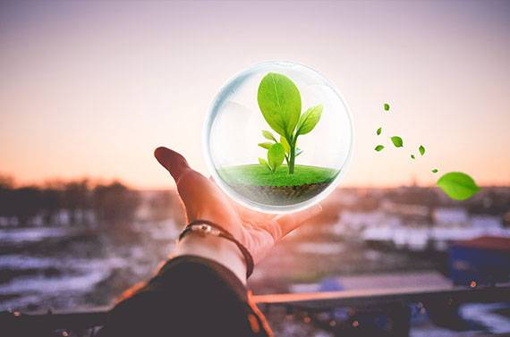 Environmental policy
Full participation and protect the environment pollution prevention, improvement continuously Save energy and reduce consumption Green Business, sustainable development