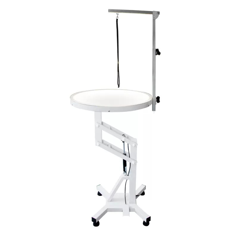 Professional dog grooming Air Lifting table with light N-121/N-122
