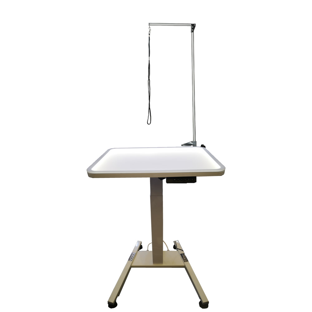 AW-202 Rec LED Grooming Table with top of 60*40 cm