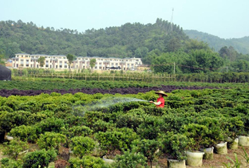 我县举行聚焦精准扶贫 助力安居扶贫捐赠活动