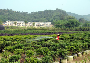 我县举行聚焦精准扶贫 助力安居扶贫捐赠活动