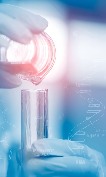 臨床試驗:
公司具備完善的化學藥品臨床研究服務(wù)體系,可全面承接化藥Ⅰ期、Ⅱ期臨床試驗及生物等效性(BE)研究全流程服務(wù)。
團隊嚴格遵循GCP規(guī)范與藥品審評審批相關(guān)法規(guī)要求,深耕化藥臨床方案設(shè)計、倫理審查、中心啟動、臨床執(zhí)行、質(zhì)量控制、數(shù)據(jù)管理與統(tǒng)計分析、注冊申報支持等全鏈條環(huán)節(jié)。
注冊申報:
公司可全面承接各類化藥的注冊申報相關(guān)服務(wù):
1類化學創(chuàng)新藥;2類化學改良型新藥;3類化學仿制藥;4類化學進口仿制藥;5類化學境外已上市境內(nèi)未上市的注冊申報,
同時高效承接化藥補充申請相關(guān)業(yè)務(wù),涵蓋補充申請的資料撰寫、提交、跟進及審核反饋全流程。
團隊憑借對化藥注冊法規(guī)、申報規(guī)范的深刻理解,以及豐富的申報實操經(jīng)驗,嚴格按照國家藥品監(jiān)督管理局相關(guān)要求,規(guī)范完成申報資料編制、審核校驗、提交上報、補正完善等各項工作,精準應(yīng)對申報過程中的各類問題;
同時聯(lián)動多領(lǐng)域資源,為化藥注冊申報提供全方位技術(shù)支撐,確保每一項化藥注冊申報工作合規(guī)、高效推進,助力化藥產(chǎn)品快速通過審核、實現(xiàn)市場化落地,切實為化藥企業(yè)降低申報成本、縮短上市周期。