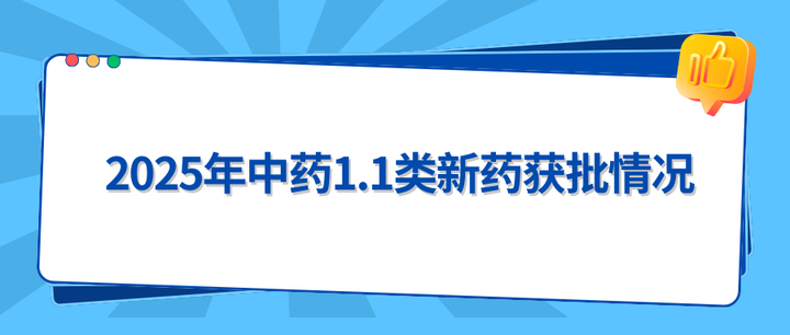 中药1.1类新药获批情况（附审评报告）—2024年