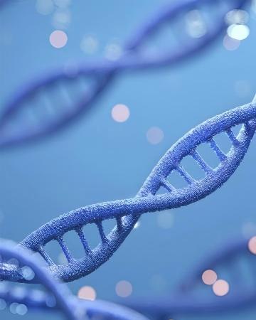 生物創新藥臨床試驗：
&nbsp; &nbsp; &nbsp;&nbsp; 公司具備成熟的生物創新藥臨床試驗全流程服務能力，覆蓋從臨床方案設計、倫理遞交、中心啟動、患者招募、現場執行、質量控制到數據管理與統計分析的全鏈條環節。團隊深度掌握生物創新藥研發規律與審評核查要求，嚴格遵循GCP與相關法規指南，依托全國多中心臨床資源網絡與專業化項目管理體系，為生物創新藥企業提供合規、精準、高效、可落地的一體化臨床研究服務，加速創新成果轉化與上市進程。
&nbsp;
注冊申報：
&nbsp; &nbsp; &nbsp;&nbsp; 公司可專業承接生物創新藥全流程研發與注冊申報服務，重點覆蓋治療類生物制品（2.2類、3.3類）的注冊申報，包含生物藥注冊資料撰寫與提交、發補回復、審評溝通、核查應對等全鏈條服務。
&nbsp; &nbsp; &nbsp;&nbsp; 團隊深耕生物制品法規體系與審評要求，嚴格遵循國家藥品監督管理局相關指導原則，深度熟悉治療性生物制品的注冊分類、申報路徑與技術標準，助力生物創新藥項目加速研發、合規申報、順利上市。