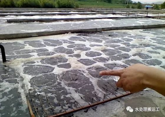 微信圖片_20220301162947