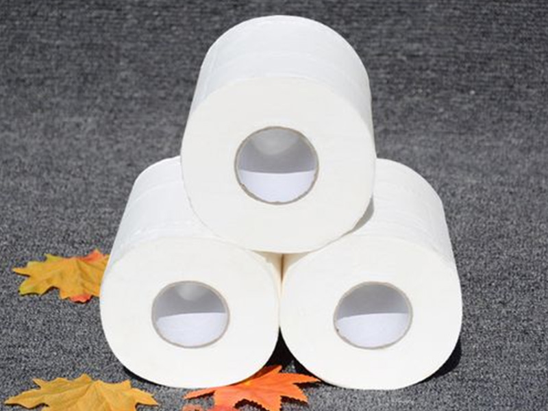 Roll of toilet paper