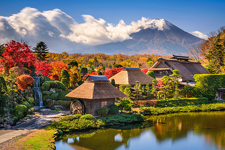 出境市场秋意浓：收获满满，寒意十足
