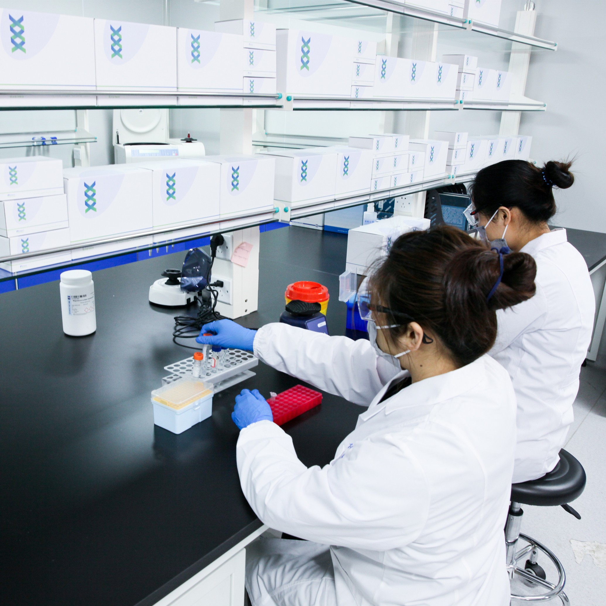 实时荧光定量PCR服务