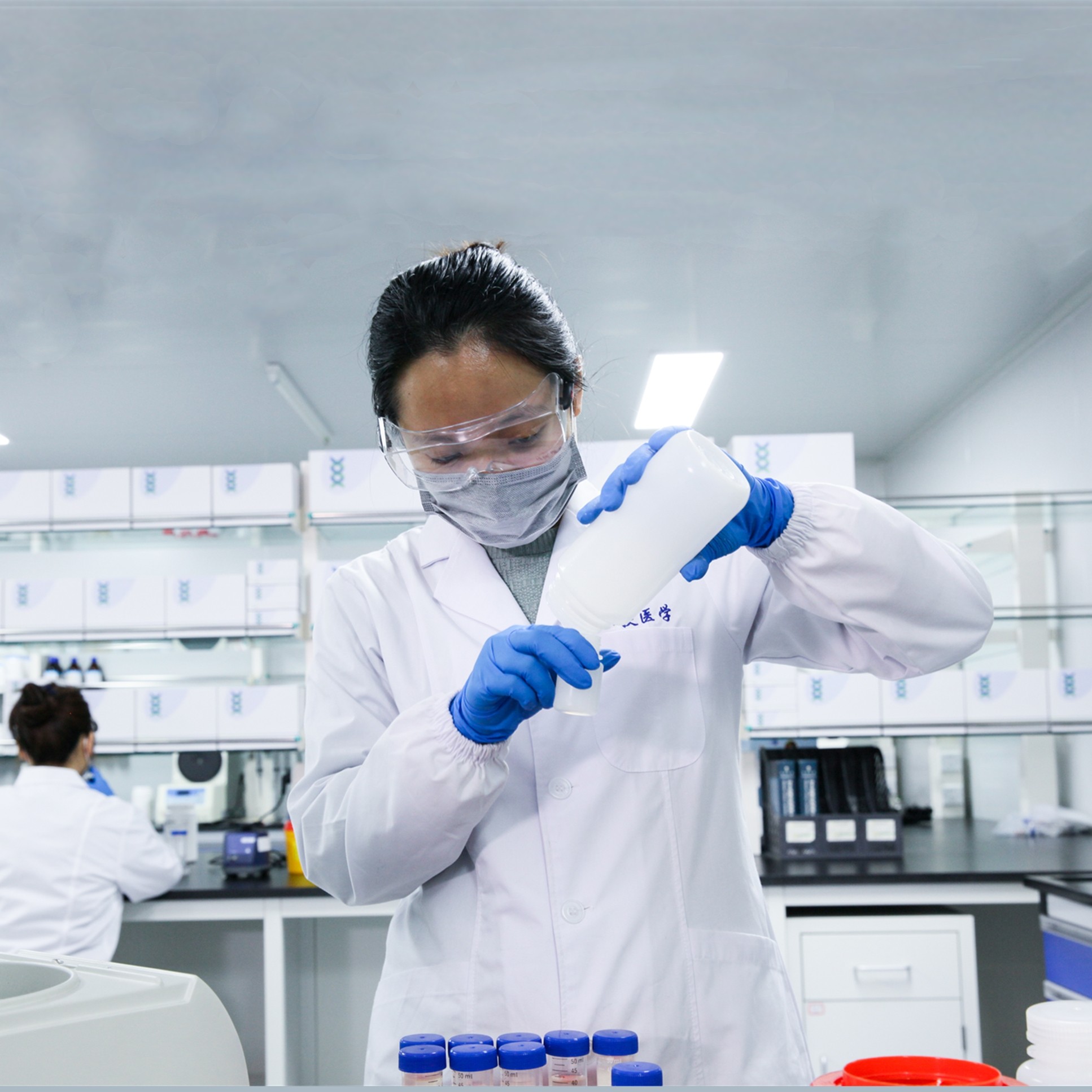 质粒DNA制备服务