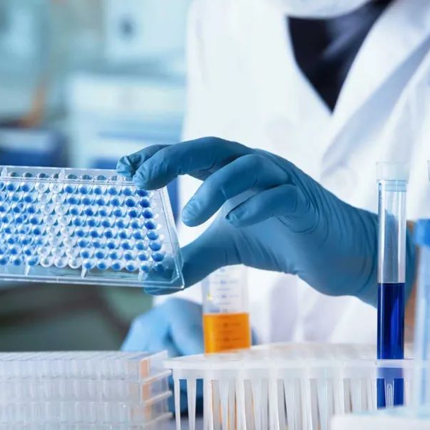 常规基因合成服务