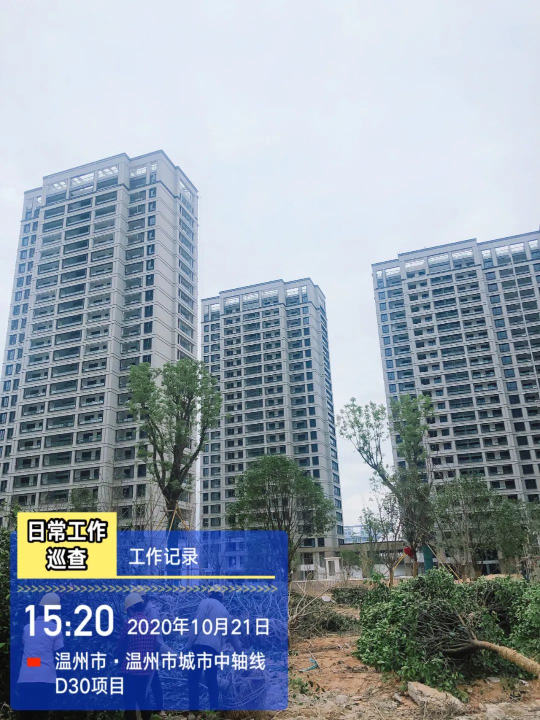 【項(xiàng)目動(dòng)態(tài)】工程進(jìn)度簡(jiǎn)訊（七）